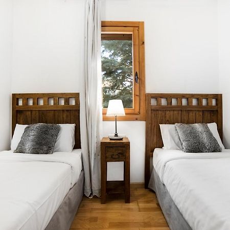 Apartaments Esquirol التارتر المظهر الخارجي الصورة